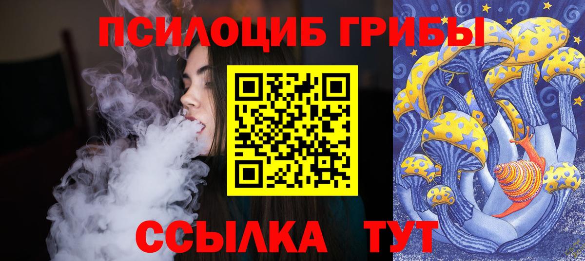 Железногорск  Галлюциногенные грибы Psilocybe  магазин продажи   Вход с VPN  Галлюциногенные грибы мухоморы 