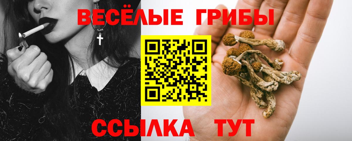КОКАИН  Железногорск  ЭКСТАЗИ  A PVP СК   Конопля  Меф МЯУ МЯУ кристаллы  Вход с VPN  МДМА  ГАШИШ 